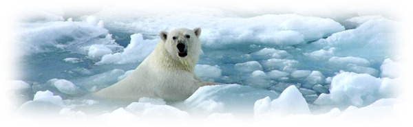 climate